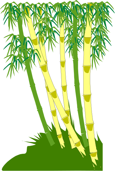 The image shows a bamboo plant with multiple stems against a dark background.