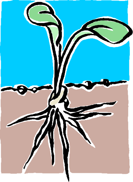 The image shows a cartoon of an uprooted plant with roots exposed against a blue sky background.