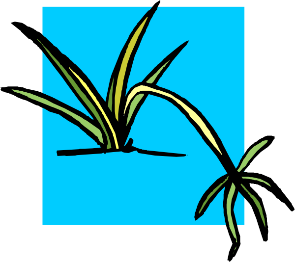 The image shows a blue square with two green plants inside it against a white background.