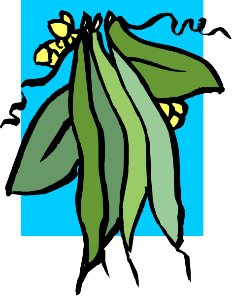 The image shows a stylized illustration of leaves with green leafy parts on top and yellowish-brown seed pods at bottom against a blue background; there is no text present in this clipart.