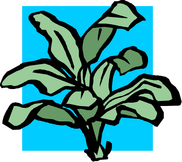 The image shows a green plant with leaves against a blue background on top of what appears to be an orange flower stem.