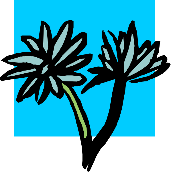 The image shows a blue flower with two petals on top of each other against a white background.