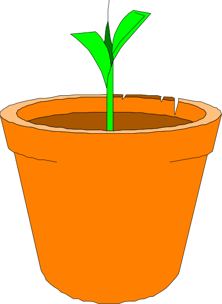 The image shows a cartoon depiction of an orange flower pot with soil at its base containing a single green plant sprouting from it against a black background.