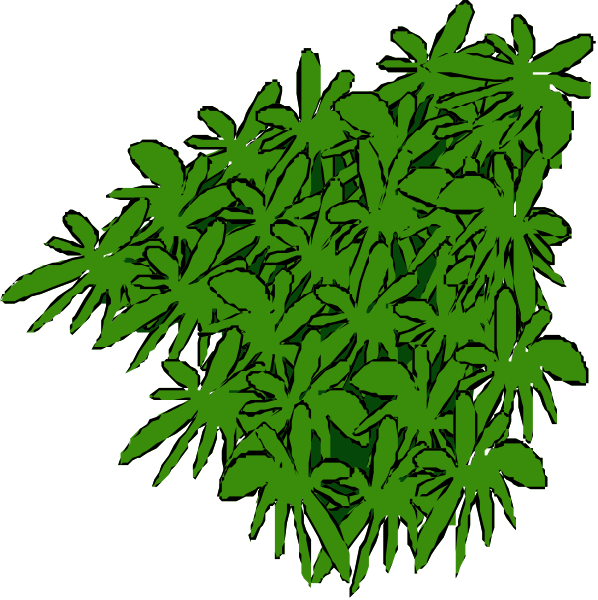 The image shows a collection of green plants with white flowers against two different backgrounds: black on top half and grayish-white in bottom half.
