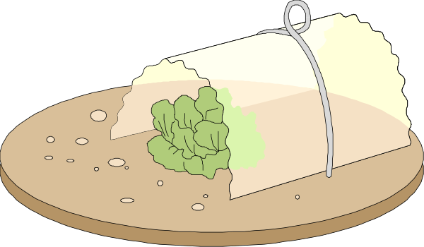 The illustration shows a slice of pizza with toppings on it placed inside an open oven door that is set into what appears to be a countertop in front of two pizzas; one whole pie without any visible ingredients and another covered dish containing broccoli, all depicted as clip-art.