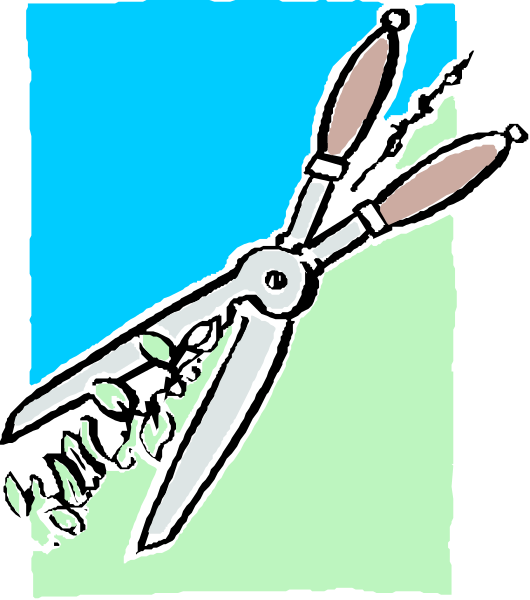 The image shows a pair of scissors with their blades open against an outdoor backdrop that includes grassy areas and possibly some plants in front of them.