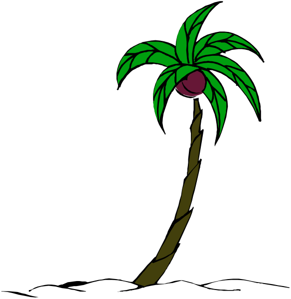 The image shows a cartoon palm tree with green leaves on top of it against a black background to its left side.