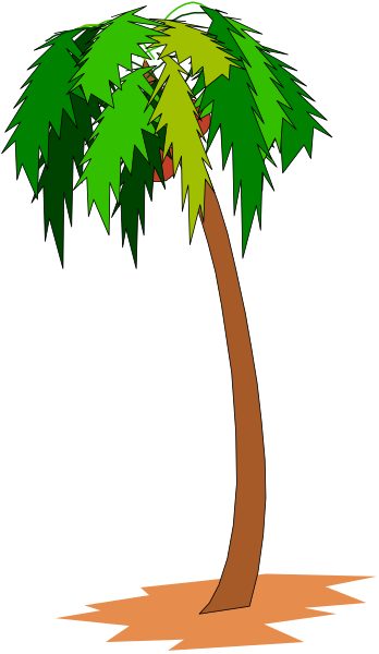 The image shows a cartoon palm tree with green leaves against a black background on its left side.