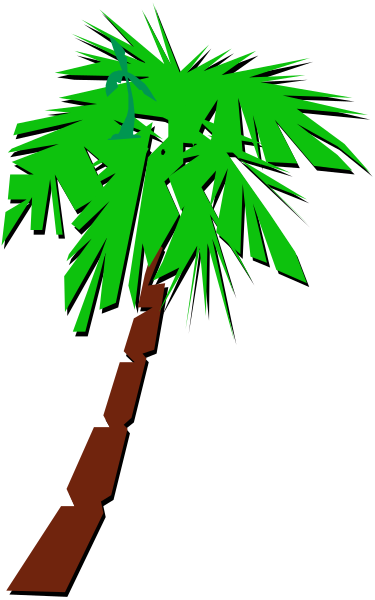 The image shows a palm tree with green leaves on top of it against a dark background.