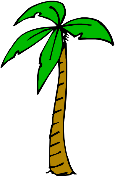 The image shows a single palm tree with green leaves against a black background on the left side of an otherwise gray square frame.