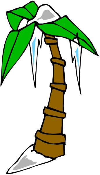 The image shows a palm tree with ice on it against a black background.