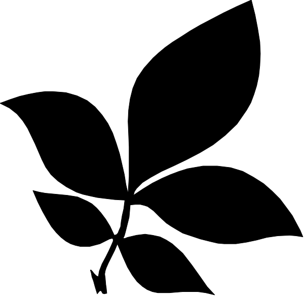 The black square has a white border around it with no other content visible within its boundaries.