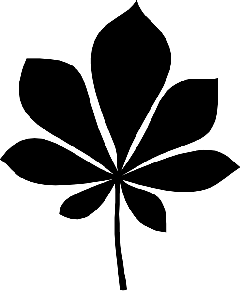 The image shows a black screen with no visible content to provide details about any of these elements.