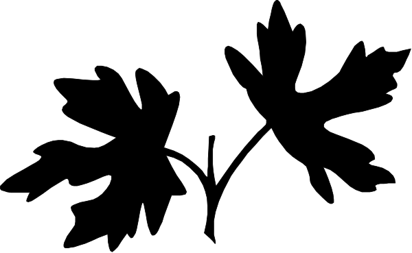 The image shows a black rectangle with white text inside it on an otherwise plain background.