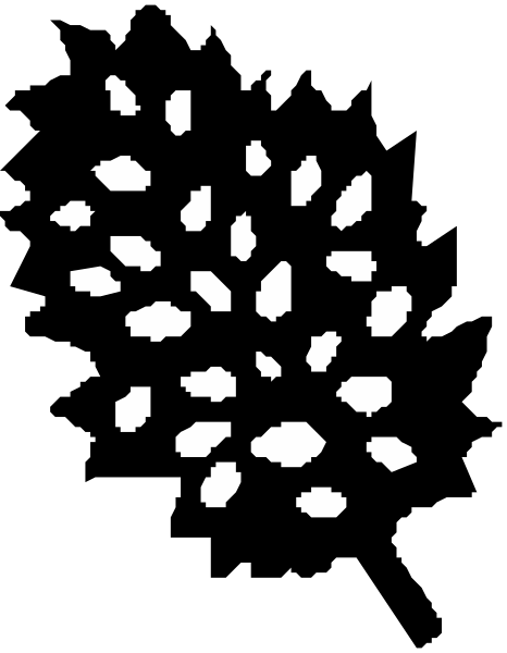 The black and white photo shows a cluster of snowflakes against a dark background with no other discernible elements present in this small clip-art image.