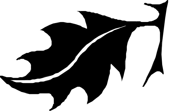 The black silhouette of a bird flying against an unseen background with its wings spread wide open.