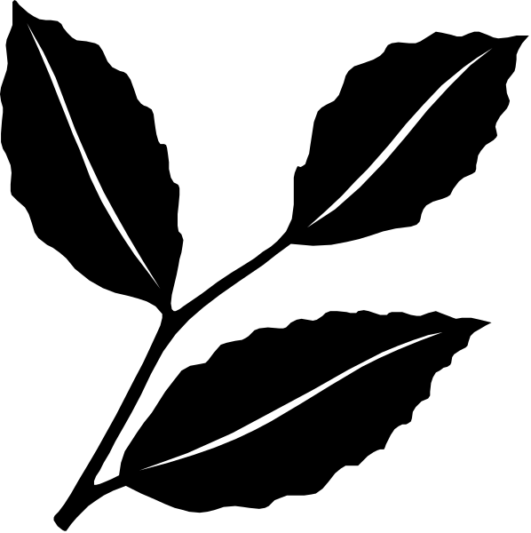 The image shows a black background with white lines that resemble stylized abstract shapes forming an intricate pattern across it.