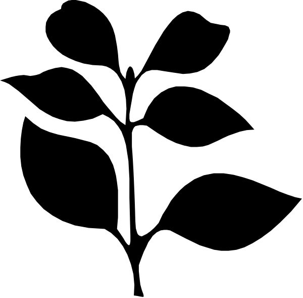 The black background of a computer screen with no content displayed on it.