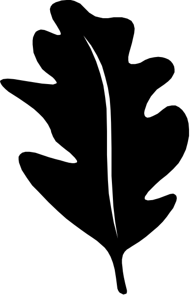 The image shows a black line on a gray background with two different shades of grey to its left side.
