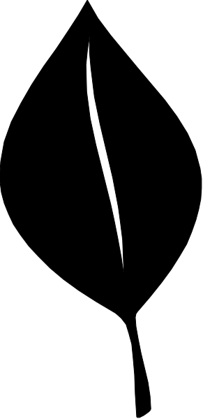 The image shows a black vertical line on an otherwise gray background with no other discernible content to provide details about.