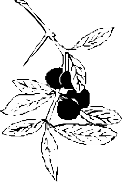 The black and white illustration shows a plant with leaves on it hanging from what appears to be an anchor point at its top right corner against a dark background.
