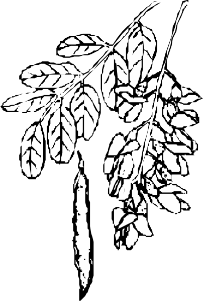 The black and white silhouette of a tree with leaves on it against an unseen background.