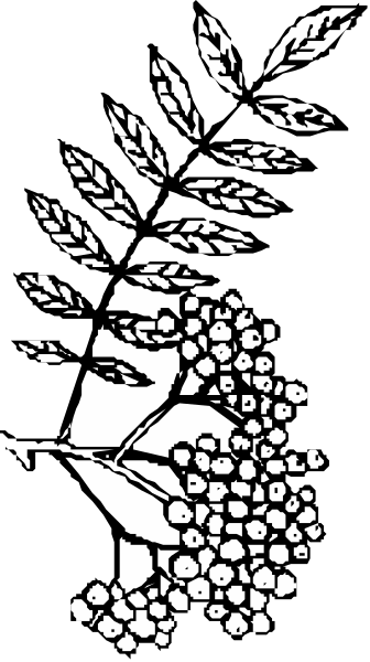 The black and white silhouette of a person's head with leaves around it on top left corner.