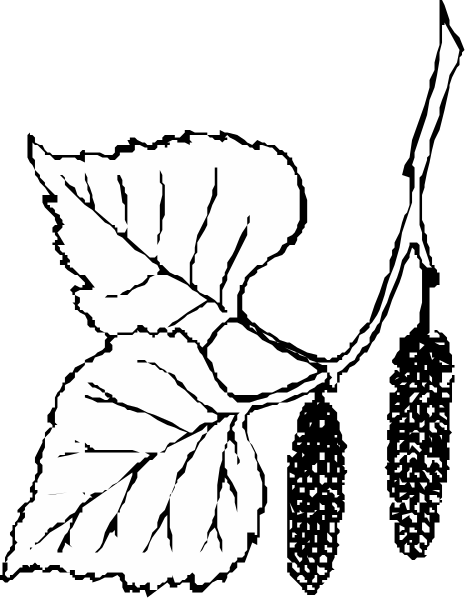 The black and white illustration shows a leaf with veins on it to its left side against an unseen background; there is no text present in this image.