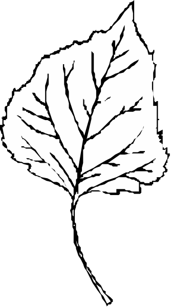 The black and white photo shows a single leaf with veins against an indistinct background on the left side of the image; there is no text present in this clip-art image.