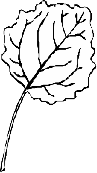 The black and white photo shows a single leaf with veins prominently displayed against an indistinct background that transitions from dark to light gray tones horizontally across the image.