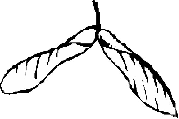 The black and white logo of a mountain with snow on it.