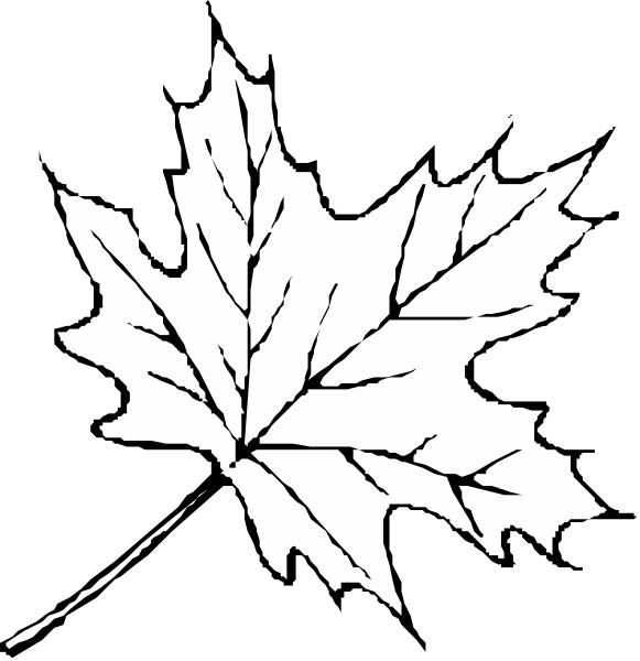 The black and white images show a maple leaf with its veins highlighted on two separate backgrounds: dark green for leaves in full coloration and light grey to represent leafless branches against different backdrops, one being solid black and another featuring an abstract pattern of lines that could be interpreted as tree bark or snow.
