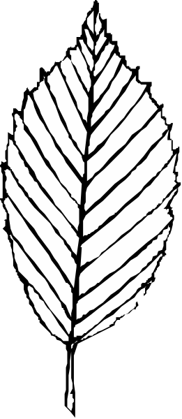 The image shows a black and white leaf design with no additional elements present.