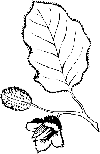 The black and white photo shows a person's face with their eyes closed against an indistinct background that appears to be darker than them.