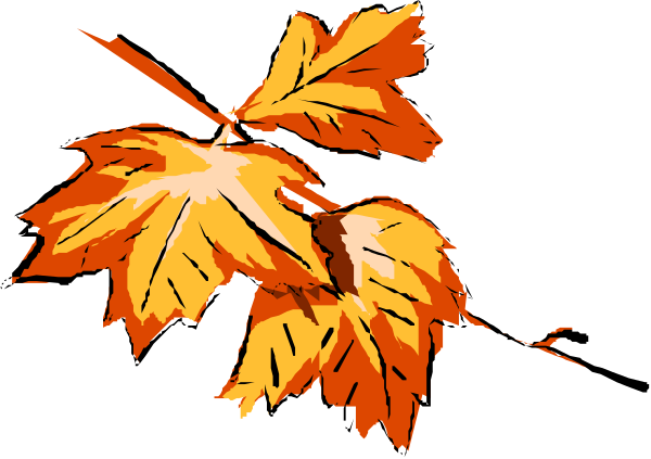 The image shows a closeup of autumn leaves on branches against an out-of-focus background with no other discernible details provided in this description.