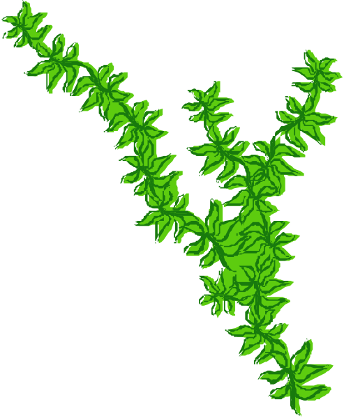 The image shows a black background with green plant leaves arranged to form two intersecting lines that resemble an "x" shape in clip-art format.