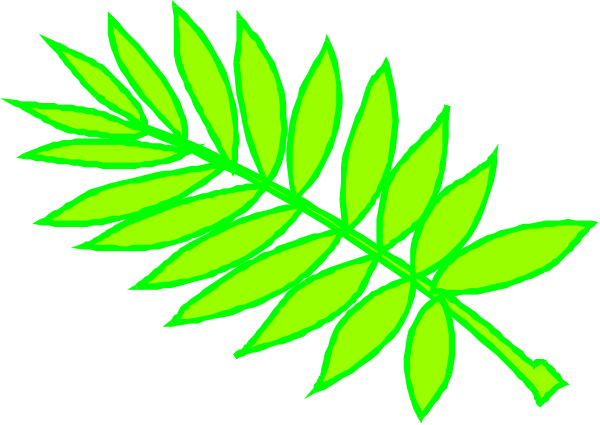 The image shows a green leaf with veins on it against a black background.