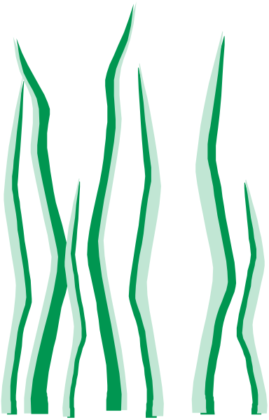 The image shows a graphic of green plants with wavy stems against a black background.