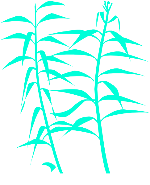 The image shows a black silhouette of three bamboo stalks against a white background with green leaves on top.