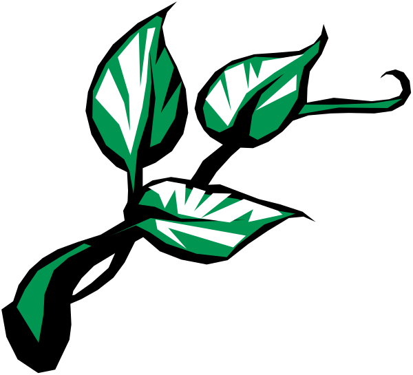 The image shows a black silhouette of an abstract face with green highlights against a dark background.