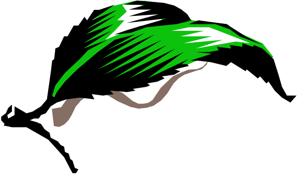 The image shows a black horse with green mane against a white background.