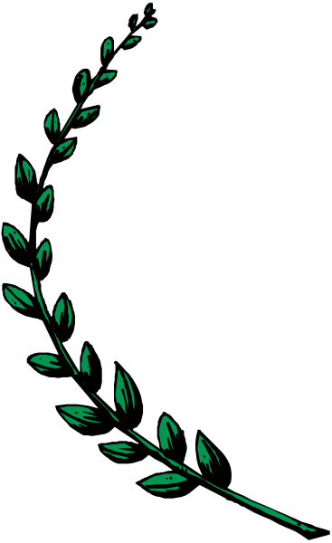 The image shows a green laurel leaf with leaves on either side of it against a dark background.