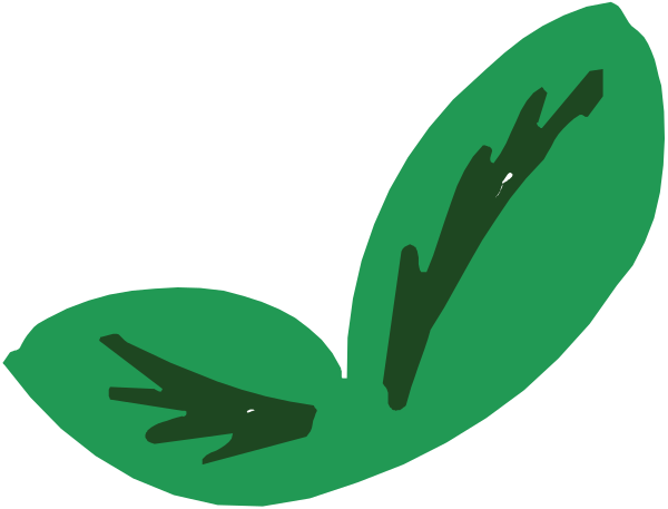 The image shows a green leaf with two smaller leaves attached to it against an indistinct background.