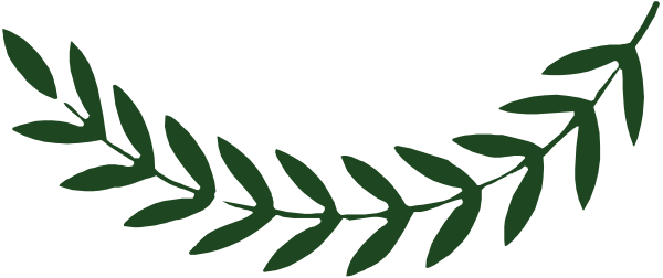 The image shows a simple graphic of an olive branch with green leaves against a grey background on the left side.