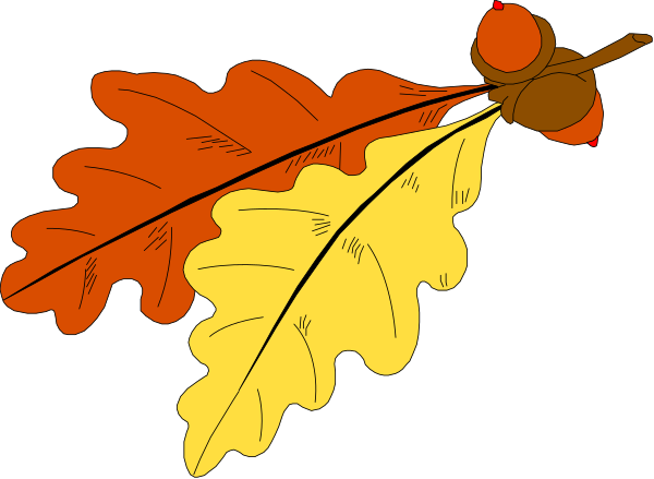 The image shows a colorful autumn leaf with red berries on it against a dark background.