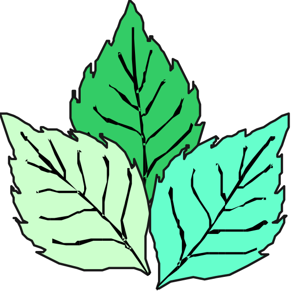 The images show a leaf with two different shades of green on it: blue and light green.