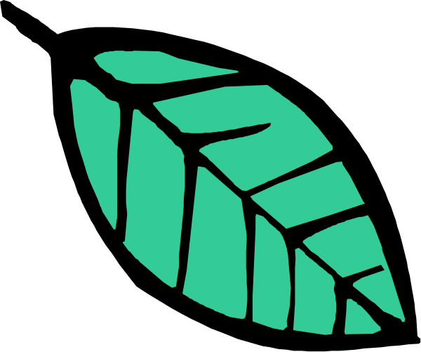 The image shows a stylized green leaf with jagged edges against a black background on top of what appears to be an ice cube texture in white at bottom right corner.