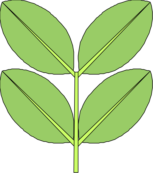The image shows a simple line drawing of two green leaves on top of each other with no background detail provided.