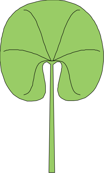 The image shows a green leaf with two holes on either side of it against a gray background.
