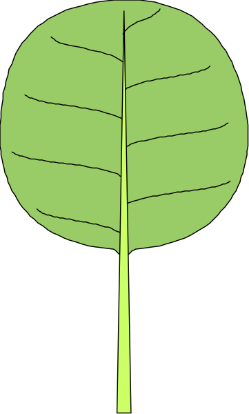 The image shows a green leaf with veins against a grey background on the left side of an otherwise black frame.
